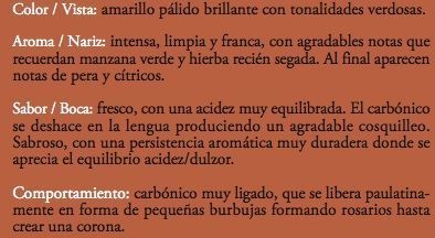 Cata Sidra Cata Sidra