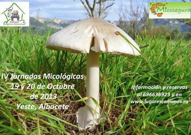Jornadas Micologicas Yeste Albacete 2013 Fuente: www.turismocastillalamancha.com Jornadas Micologicas Yeste Albacete 2013 Fuente: www.turismocastillalamancha.com