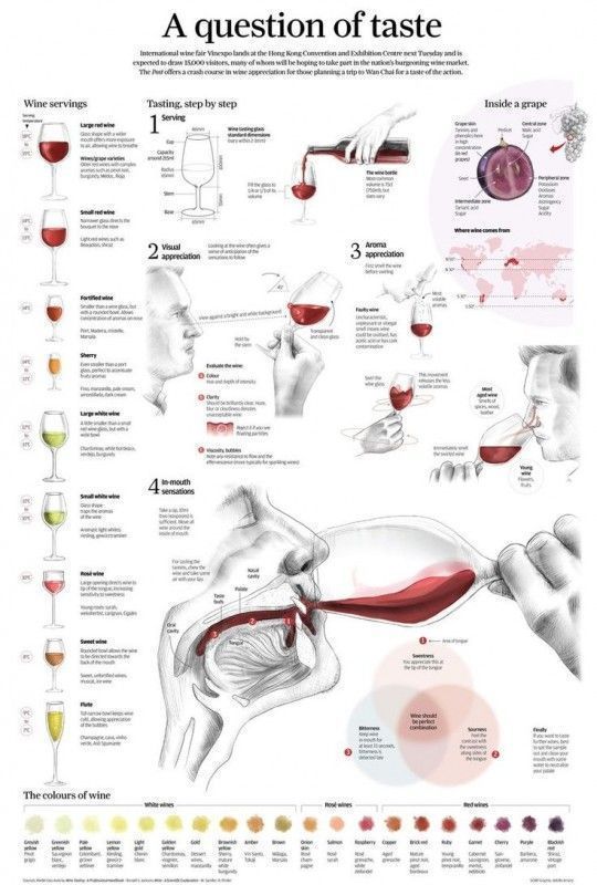 infografia de vinos