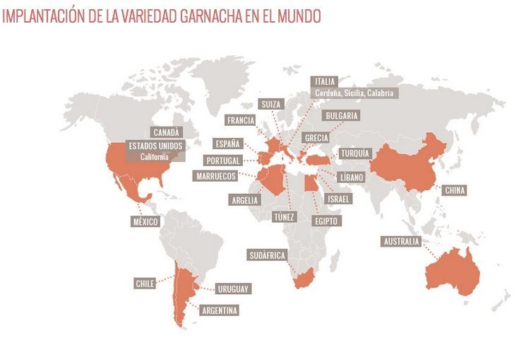 garnachasenelmundo_ Fotografia: web Grenachesdumonde