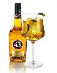 Ginger 43