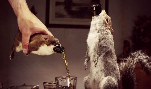 cerveza brew dog cerveza brew dog
